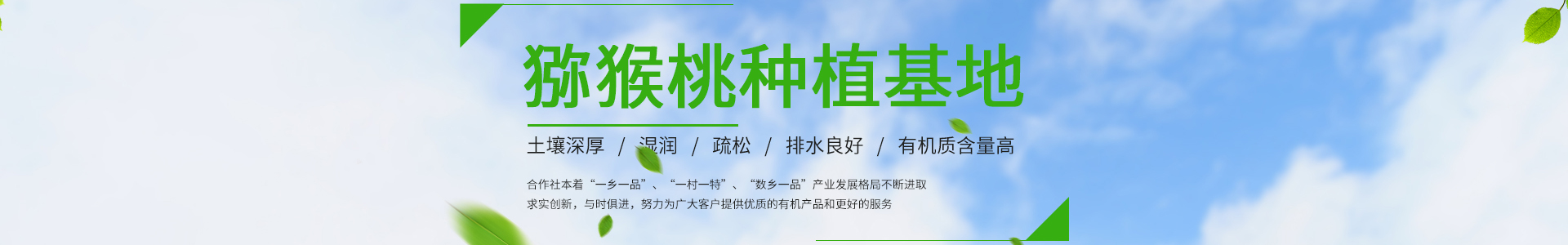 熊猫体育官方网站