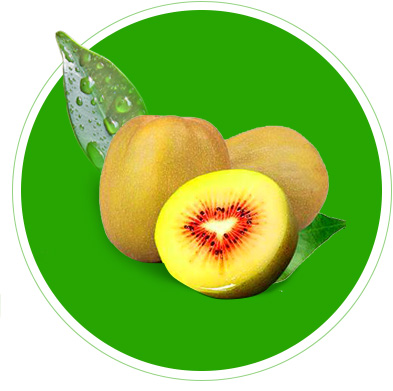 熊猫体育 体育科技 技术优势