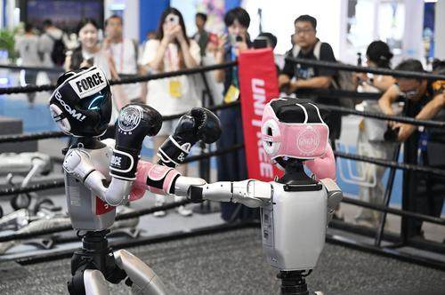 AFL极限格斗冠军赛：中外搏击王者争霸盛事