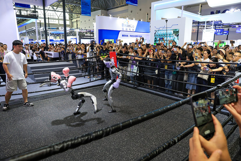 你会关注拳击比赛和夜店场景吗这么大岁数何必自讨苦吃(图1)