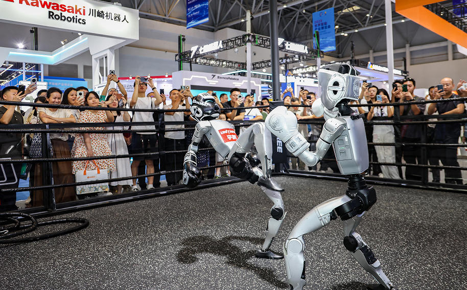 【拳手招募】伦披尼赛事需要五个级别选手！现报名开始！(图1)