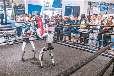 机器人拳击赛见过吗？